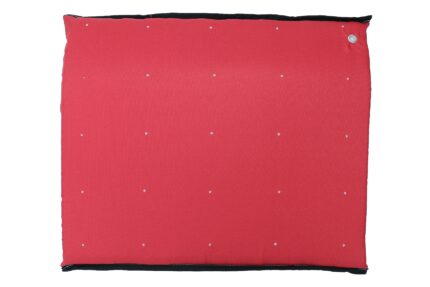 Entry Door Mat RED Entrance for Disinfection Waterproof fabric Washable 90 degrees