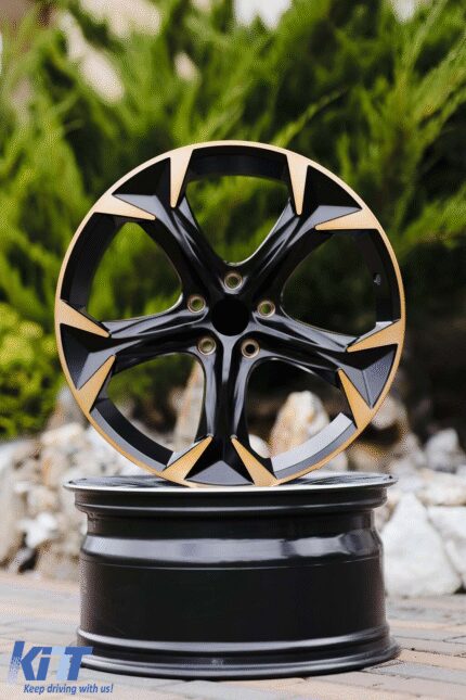 R19 rims suitable for VW